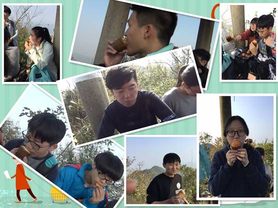 QQ图片20161202095339_副本